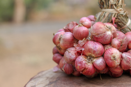 Shallots still on wood background