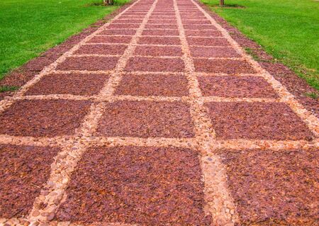 the way to some peaceful place. This picture is taken from one of the temples in Ayutthaya, Thailand.の写真素材