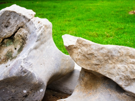 Rocks and lawn grass - a rock garden の写真素材