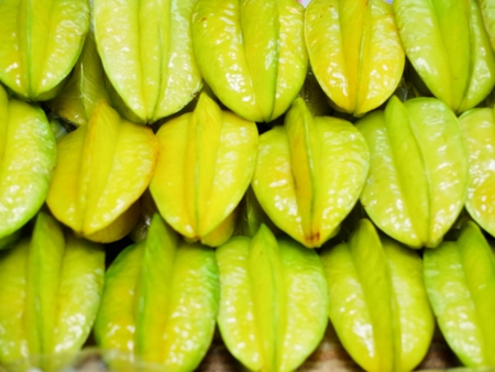 a fruit that has both benefit and toxicity の写真素材