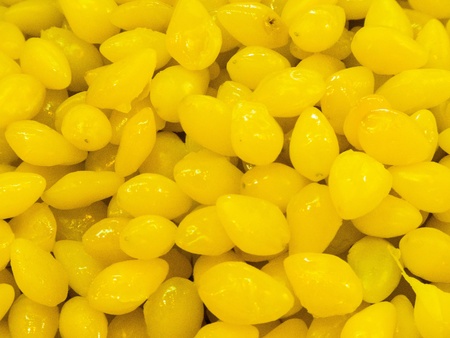 The Chinese believe that Ginkgo seed is used the treat various diseases  の写真素材
