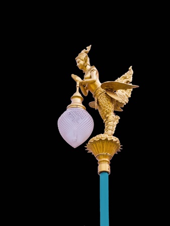 woman creature and is a symbol of beauty , grace and accomplishment.の写真素材