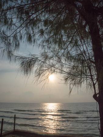 Pine tree with the rising run ove the sea の写真素材