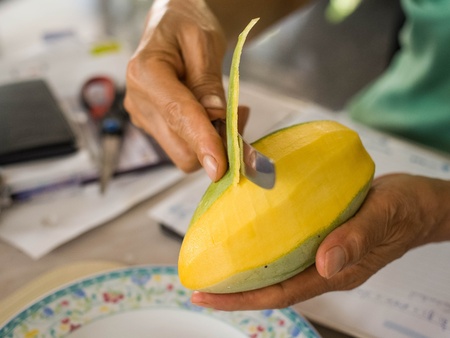 A woman peels a yellow mango の写真素材