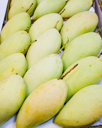 Sweet mangoes with green creamy texture when ripe and sweet flavored flesh の写真素材