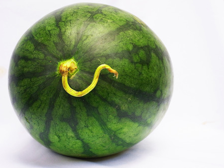 Watermelonの写真素材
