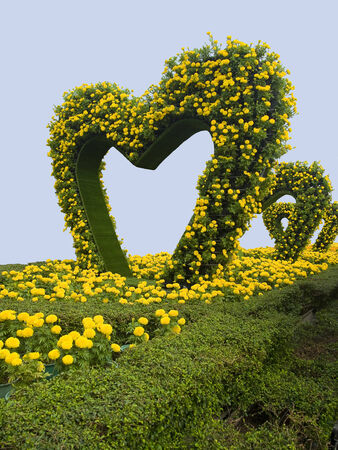 A garden of heart - shaped green leaves and flowers in a festival の写真素材