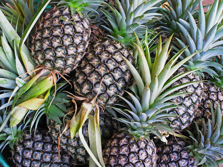      Pineapple is a tropical fruit which is a good source of dietary fiber , vitamins and minerals  ...