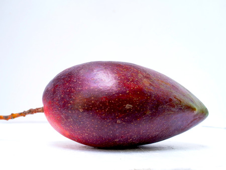 The mango hybrid of two species of mango in Taiwan to give distinctive flavor and much more fruit...