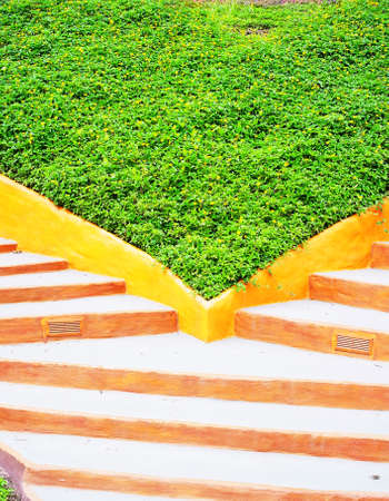 Designation of  two stairs with multisteps and a grass lawn in the middle.の写真素材