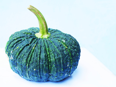 Pumpkin has uneven texture rough bark with yellow flesh and flat seeds.Gの写真素材