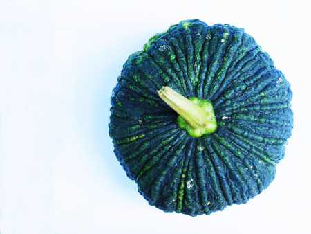 Pumpkin has uneven texture rough bark with yellow flesh and flat seeds.の写真素材