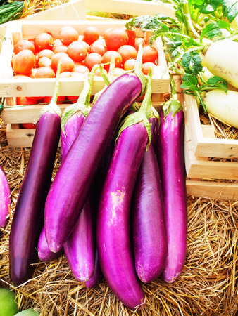 The eggplant is a edible tropical fruit or vegetable with deeply purple , glossy skin. Tomatoes and carrots are on the background.の写真素材