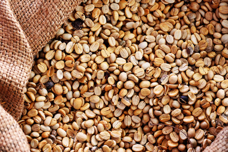 Coffee beans are seeds of the coffee plant and each contains two flat sides together.They are the source of coffee.の写真素材