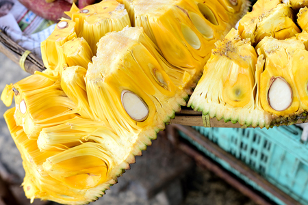 The fruit 's flesh is yellow ,  starchy and fibrous with sweet aroma.の写真素材