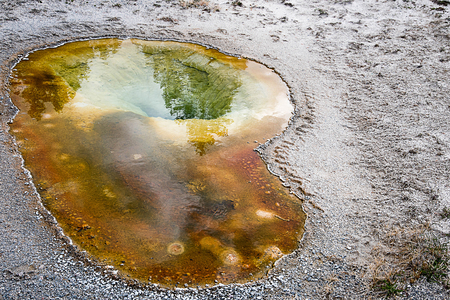 The clear waters of Belgian Pool in Upper Geyser Basin with shadows of blue  sky and forest in it .の写真素材