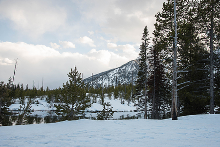 The scenery of Jenny Lake is partly covered with snow with pine forest and snowy mountains.の写真素材