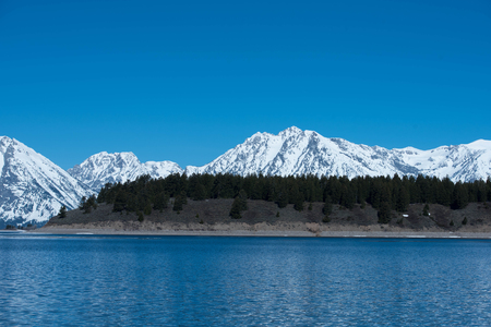 Pine forest on a lake bank with snowy mountains on the background.. This picture was taken from a lake in Grand Teton National Park , United States in May 2017.の写真素材