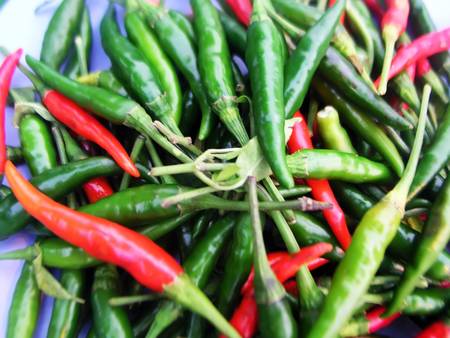 Pepperの写真素材