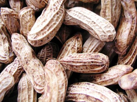peanut close-up