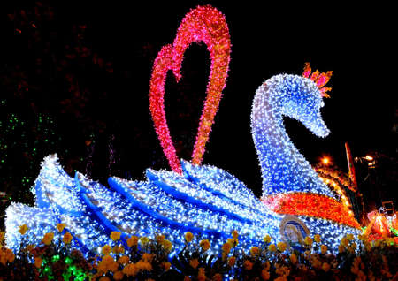 fire flower festivalの写真素材