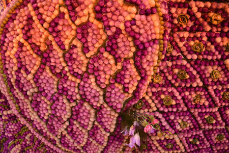 flower thai designの写真素材