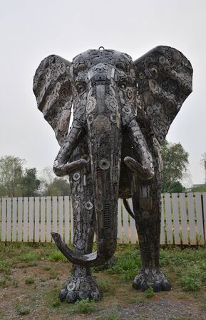 elephent old steelの写真素材