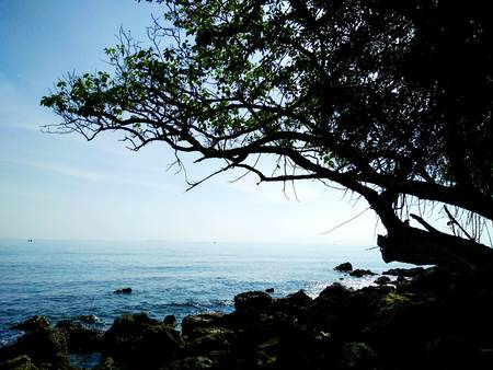 Stone and sea in Thailandの素材