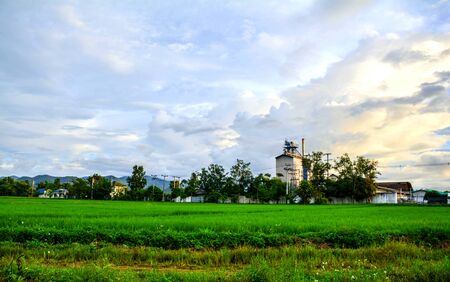 factory and farm rice in north Thailand