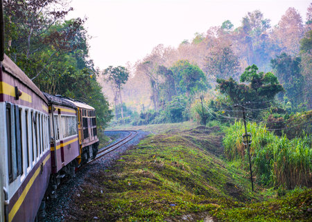 ravel to the nort of Thailand by railway scenery beauty natureの写真素材