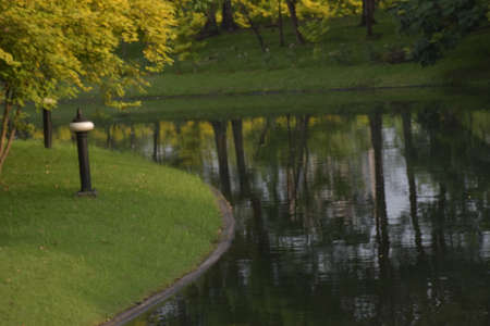 landscape Thailand garden beauty nature  park in bangkok beautiful natureの写真素材