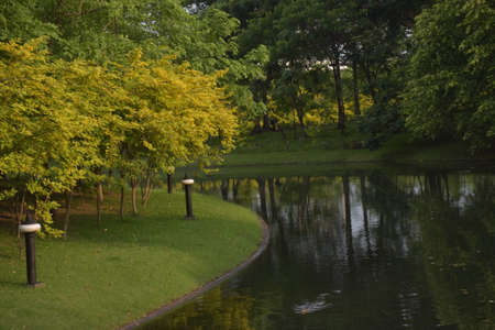 landscape Thailand garden beauty nature  park in bangkok beautiful natureの写真素材
