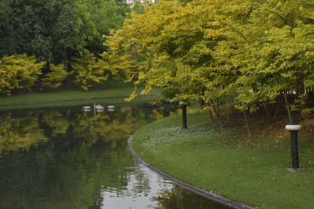 landscape Thailand garden beauty nature  park in bangkok beautiful natureの写真素材