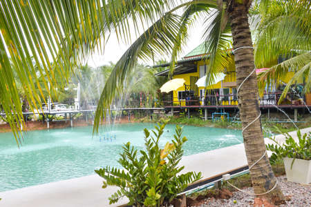 resort relex in coconut garden in south Thailandの写真素材