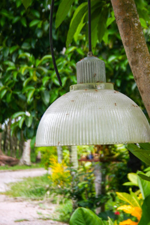 Decorative glass lanterns hanging in the garden under the treeの写真素材