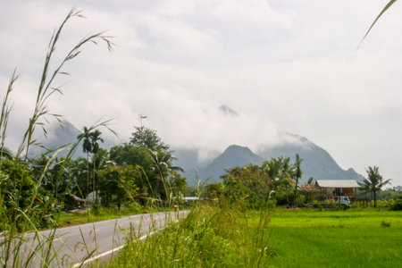 Scenery and morning fog in southern Thailandの写真素材