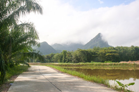 Scenery and morning fog in southern Thailandの写真素材