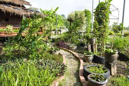 Bamboo house huts and agriculturalの写真素材