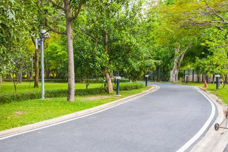 Exercise walkway in Park in the middle of Bangkok, Thailandの写真素材