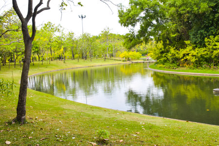 Beautiful blooming trees  flowers and river  in garden Park in Bangkok, Thailandの写真素材