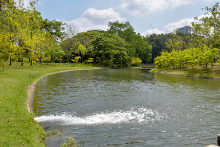 Landscape with lake and green trees in the park, Thailand.の写真素材