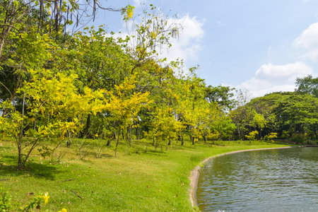 Beautiful green park with lake and blue sky in Bangkok, Thailandの写真素材