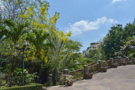 Flowers in blooming Bangkok garden and bridge in Thai gardenの写真素材