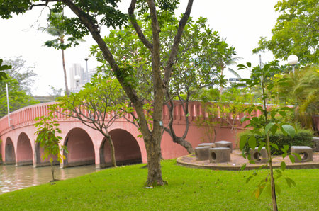 Beautiful bridge and trees in the park, Bangkok, Thailandの写真素材