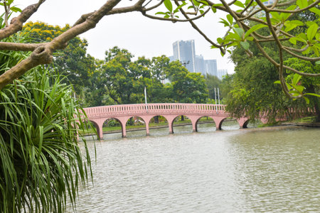 Bridge and beautiful flowers in the garden of Bangkok, Thailandの写真素材
