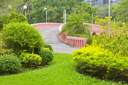 Bridge and beautiful flowers in the garden of Bangkok, Thailandの写真素材