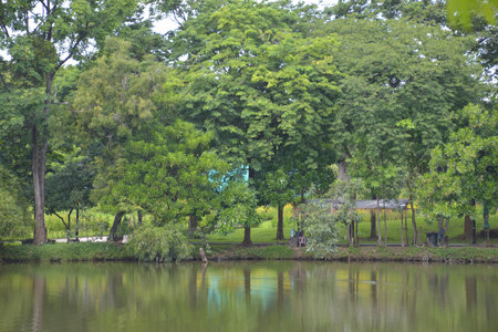 lake and green trees in garden  beauty nature Bangkok Thailandの写真素材
