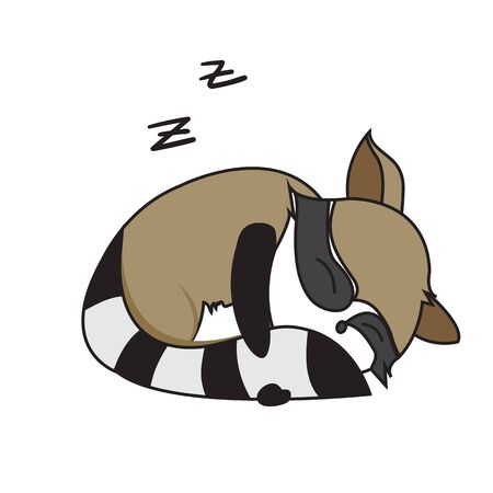 raccoon animal cute little cartoon. Colorful and flat design. Vector illustrationのイラスト素材
