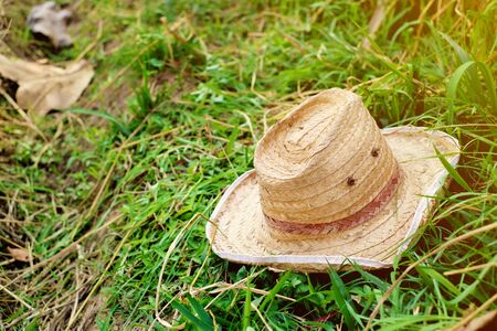 Planter hat placed on the grassの写真素材