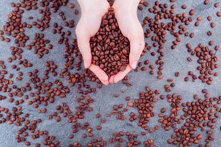 Coffee grains are collected in the hands of a young girl. Coffee pours out of the hands.の写真素材
